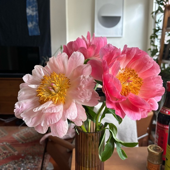 Meet your Posher, Caroline - Picture 2 of 2